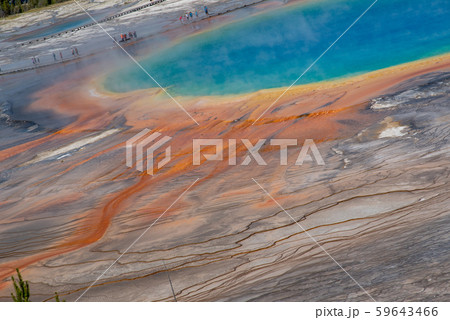 Grand Prismatic Spring in Yellowstone National 59643466