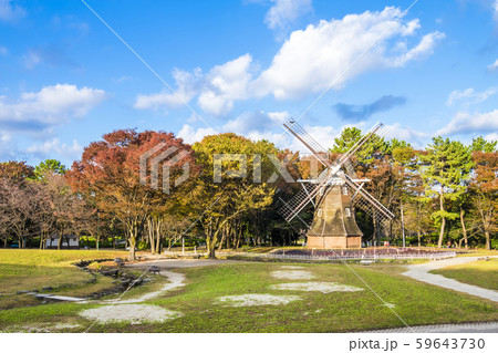 愛知県 名古屋市名城公園 秋 愛知県 名古屋市名城公園 秋 59643730