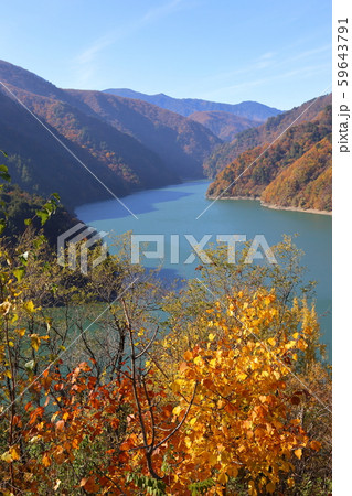 奈川渡ダム・梓湖の紅葉 奈川渡ダム・梓湖の紅葉 59643791