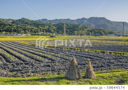 田舎風景 滋賀県 田舎風景 滋賀県 59644574