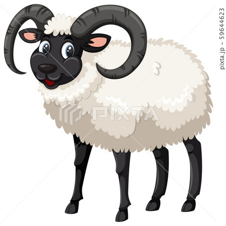 Black sheep white background 59644623