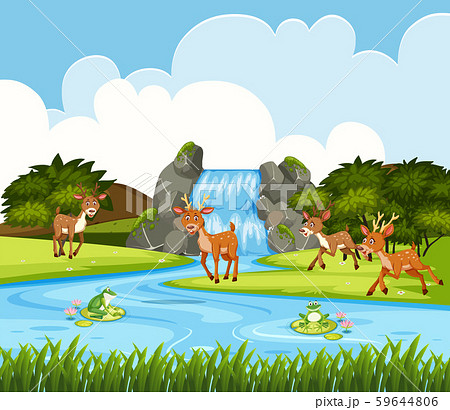 Deer in waterfall scene Deer in waterfall scene 59644806