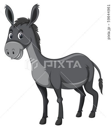 Grey donkey white background 59644961