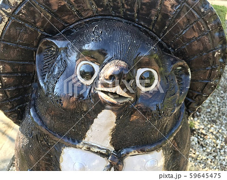 たぬきの置物アップ、狸 59645475