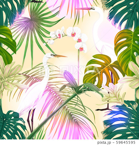 Seamless pattern, background. with tropical plants 59645595