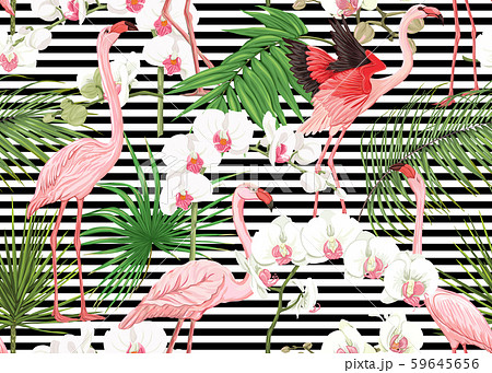 Seamless pattern, background with tropical plants 59645656