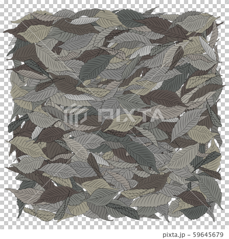 Fallen leaves illustration Fallen leaves illustration 59645679