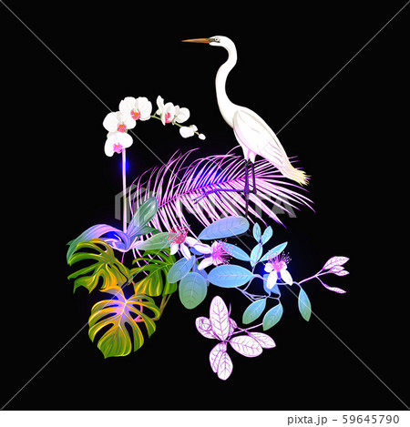 A composition of tropical plants, palm leaves A composition of tropical plants, palm leaves 59645790