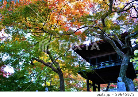 来迎寺　楼門 59645975