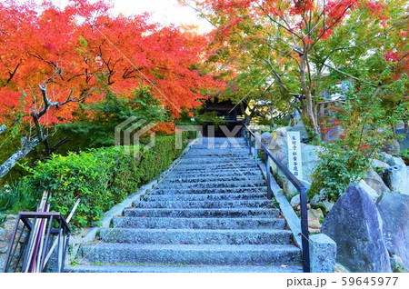 来迎寺　入口 59645977