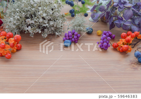 秋の草花 秋の草花 59646383