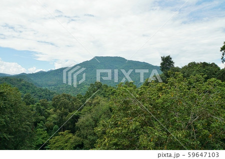 Mountain view of Chiang Mai, Thailand Mountain view of Chiang Mai, Thailand 59647103