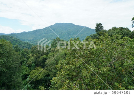 タイ王国チェンマイの観光地シリキット王妃植物園から見た風景、自然、山 59647105