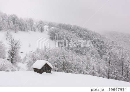 Minimalistic winter landscape with wooden house 59647954