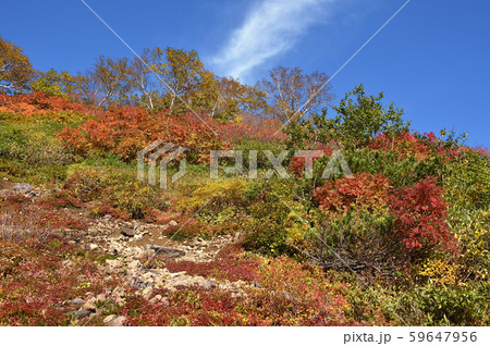 銀泉台の紅葉（北海道・上川町・大雪山系） 59647956
