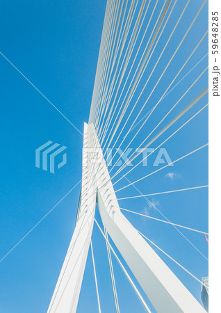 Erasmus Bridge in Rotterdam, Netherlands Erasmus Bridge in Rotterdam, Netherlands 59648285