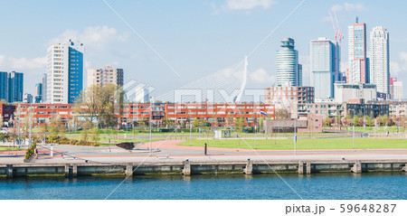 Erasmus Bridge in Rotterdam, Netherlands 59648287