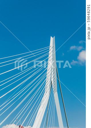 Erasmus Bridge in Rotterdam, Netherlands Erasmus Bridge in Rotterdam, Netherlands 59648291