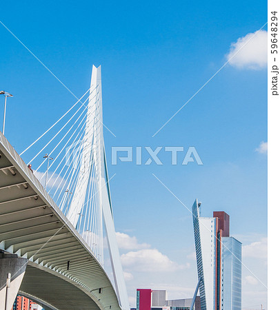 Erasmus Bridge in Rotterdam, Netherlands 59648294