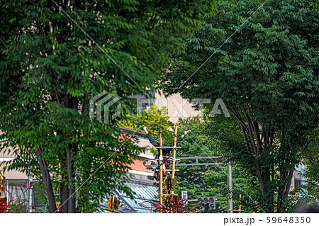 金沢百万石まつり 加賀鳶 59648350