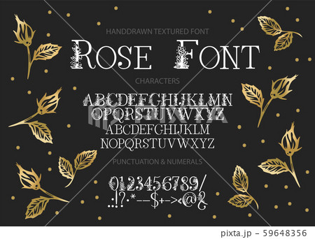 Hand drawn vector font. 59648356