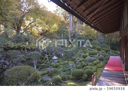 三千院　縁側 59650938