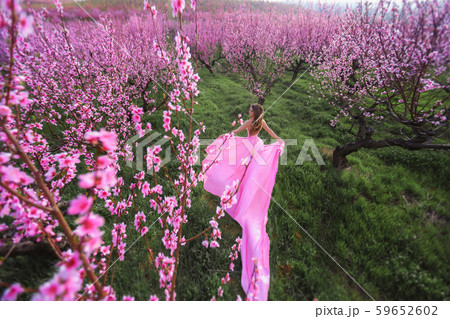Full length beautiful woman on natural park background in pink dress Full length beautiful woman on natural park background in pink dress 59652602