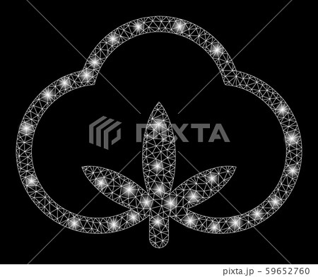 Flare Mesh Wire Frame Cotton with Flare Spots 59652760