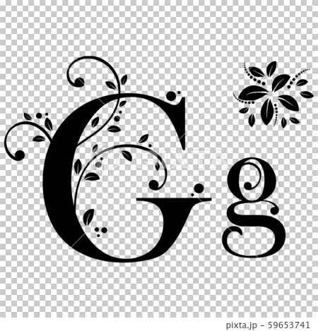 Decorated Alphabet with ornaments vintage vector, Letter G upper and lower case with leaves vector. Decoration vintage for invites card and other concept ideas. Illustration alphabet 59653741