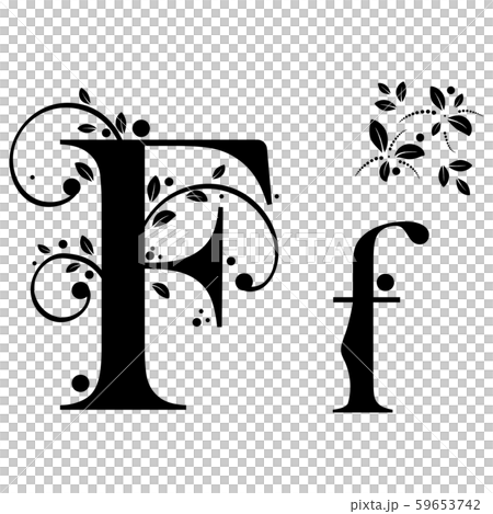 Decorated Alphabet with ornaments vintage vector, Letter F upper and lower case with leaves vector. Decoration vintage for invites card and other concept ideas. Illustration alphabet 59653742
