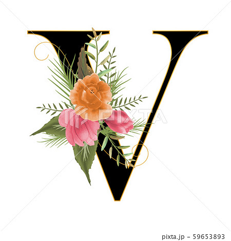 Alphabet with flowers, letter V with watercolor... - Stock Illustration  [59653893] - PIXTA
