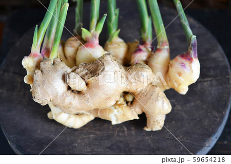 健康生薬ショウガ 59654218