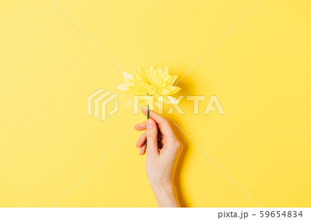 Fresh bright flower in female's hand Fresh bright flower in female's hand 59654834