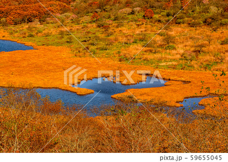秋の覚満淵・鳥居峠から【群馬県赤城山】 59655045