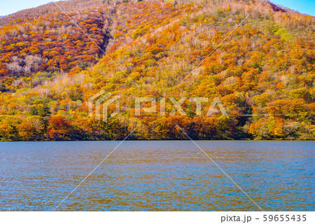 群馬県赤城山・大沼の紅葉 59655435
