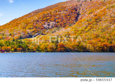 群馬県赤城山・大沼の紅葉 59655437