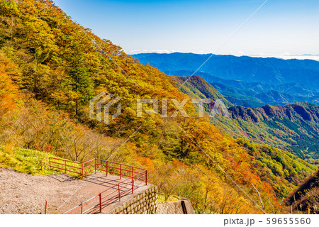 秋の赤城山・鳥居峠【群馬県】 59655560