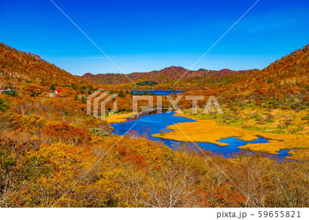 秋の赤城山・鳥居峠【群馬県】 秋の赤城山・鳥居峠【群馬県】 59655821