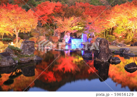 秋の耶馬溪・溪石園(ライトアップ)Ⅰ 秋の耶馬溪・溪石園(ライトアップ)Ⅰ 59656129
