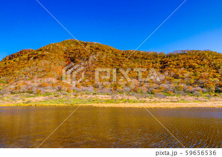 秋の覚満淵【群馬県赤城山】 秋の覚満淵【群馬県赤城山】 59656536