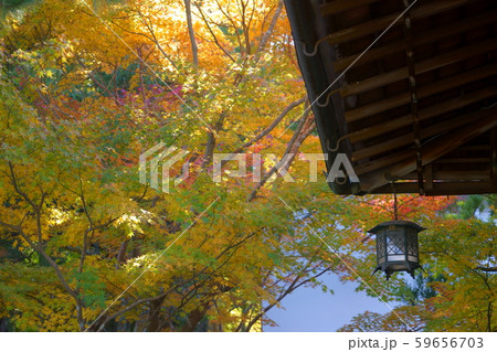 吉城園の灯篭と紅葉１３ 59656703
