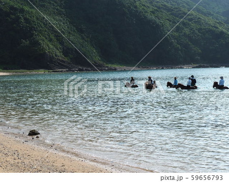 与那国島(海中乗馬) 与那国島(海中乗馬) 59656793