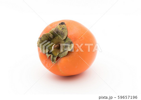 柿（品種：蜂屋）：Persimmon (cv. Hachiya) 59657196