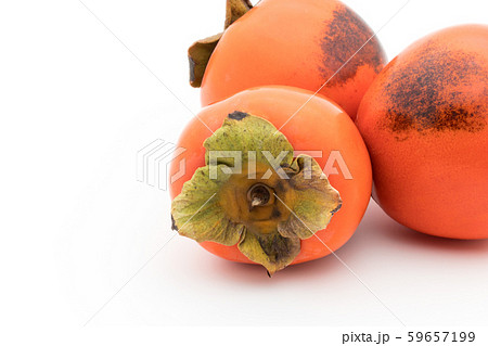 柿（品種：蜂屋）：Persimmon (cv. Hachiya) 59657199