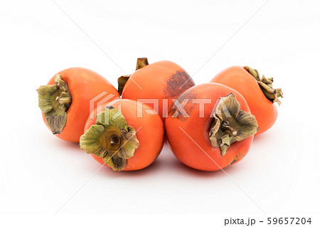 柿(品種:蜂屋):Persimmon (cv. Hachiya) 柿(品種:蜂屋):Persimmon (cv. Hachiya) 59657204