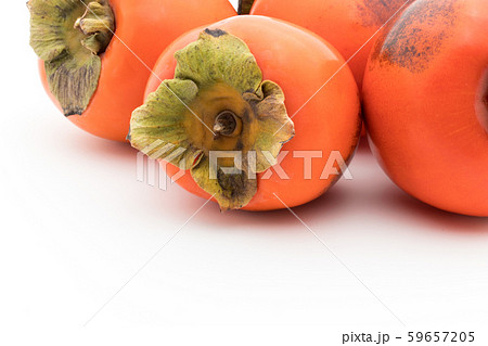 柿（品種：蜂屋）：Persimmon (cv. Hachiya) 59657205