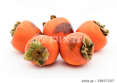 柿（品種：蜂屋）：Persimmon (cv. Hachiya) 59657207