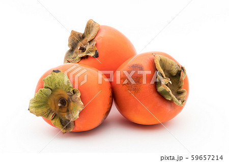 柿(品種:蜂屋):Persimmon (cv. Hachiya) 柿(品種:蜂屋):Persimmon (cv. Hachiya) 59657214