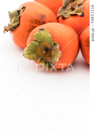 柿(品種:蜂屋):Persimmon (cv. Hachiya) 柿(品種:蜂屋):Persimmon (cv. Hachiya) 59657216