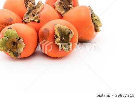 柿(品種:蜂屋):Persimmon (cv. Hachiya) 柿(品種:蜂屋):Persimmon (cv. Hachiya) 59657219